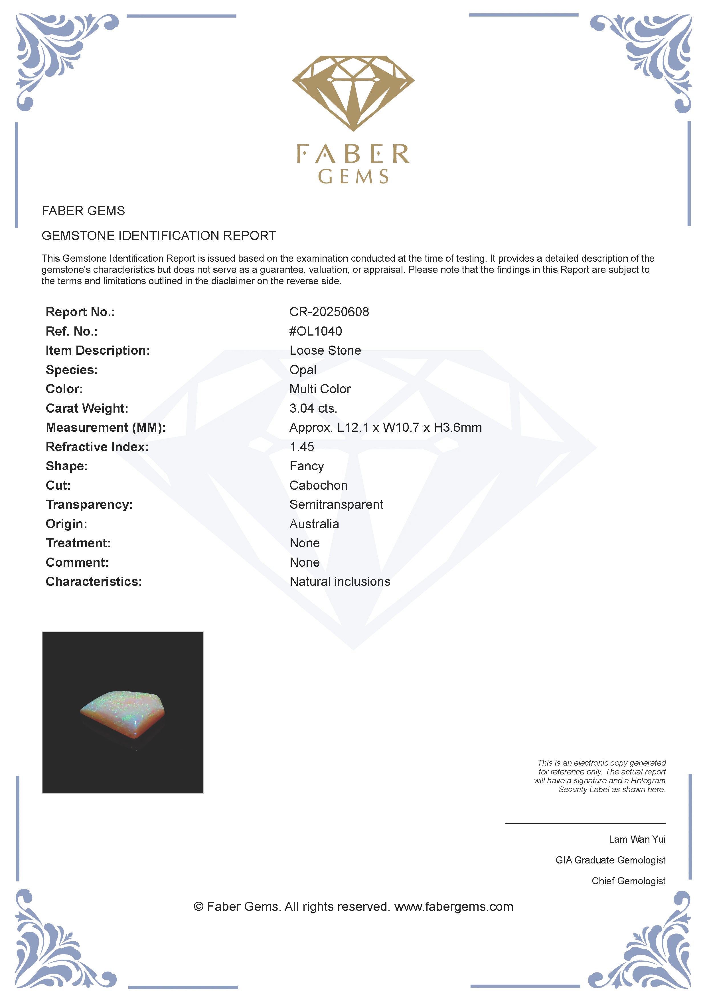 3.07 Ct. Australian Legacy Opal #OL1040