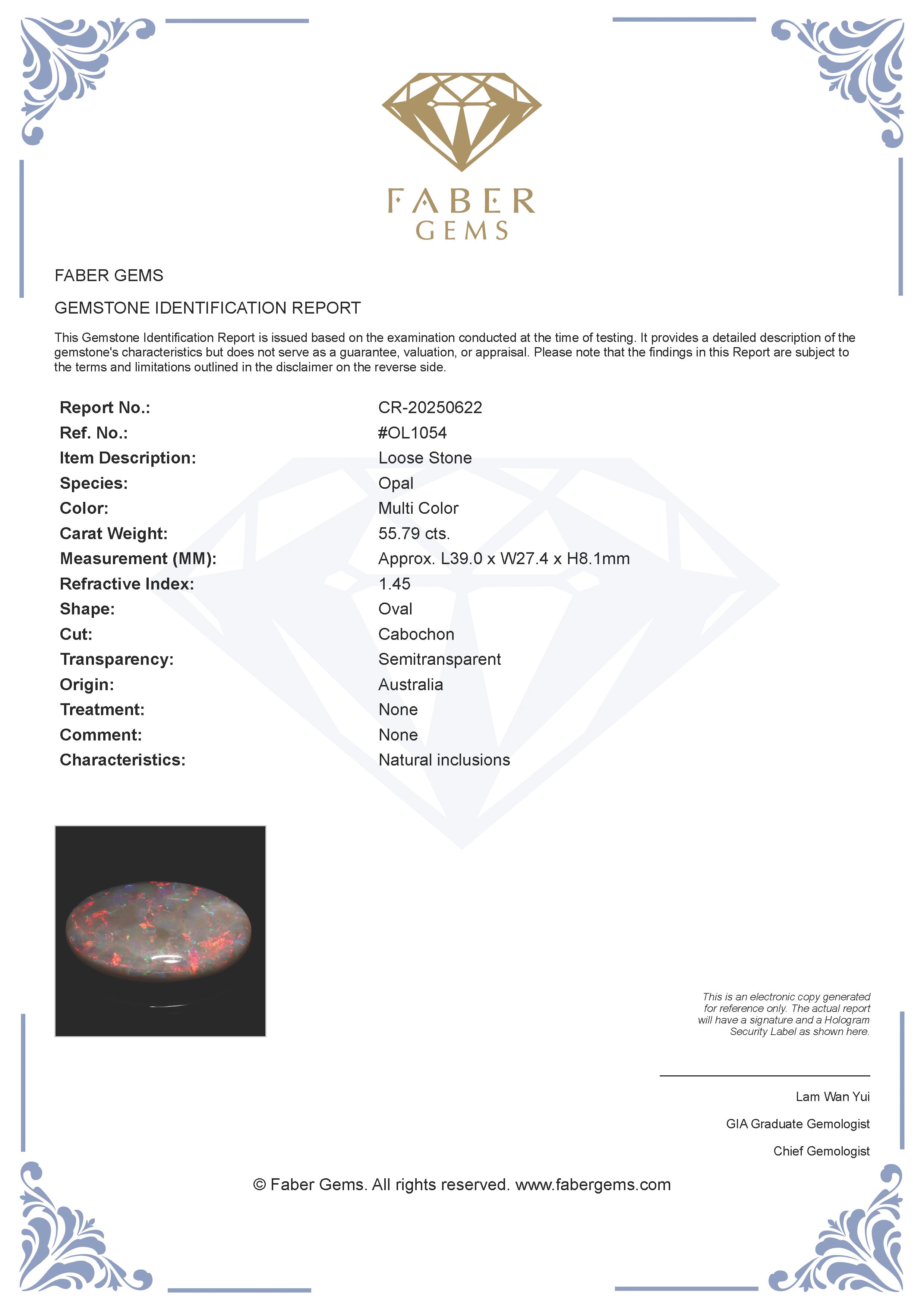 55.79 Ct. Australian Legacy Opal #OL1054