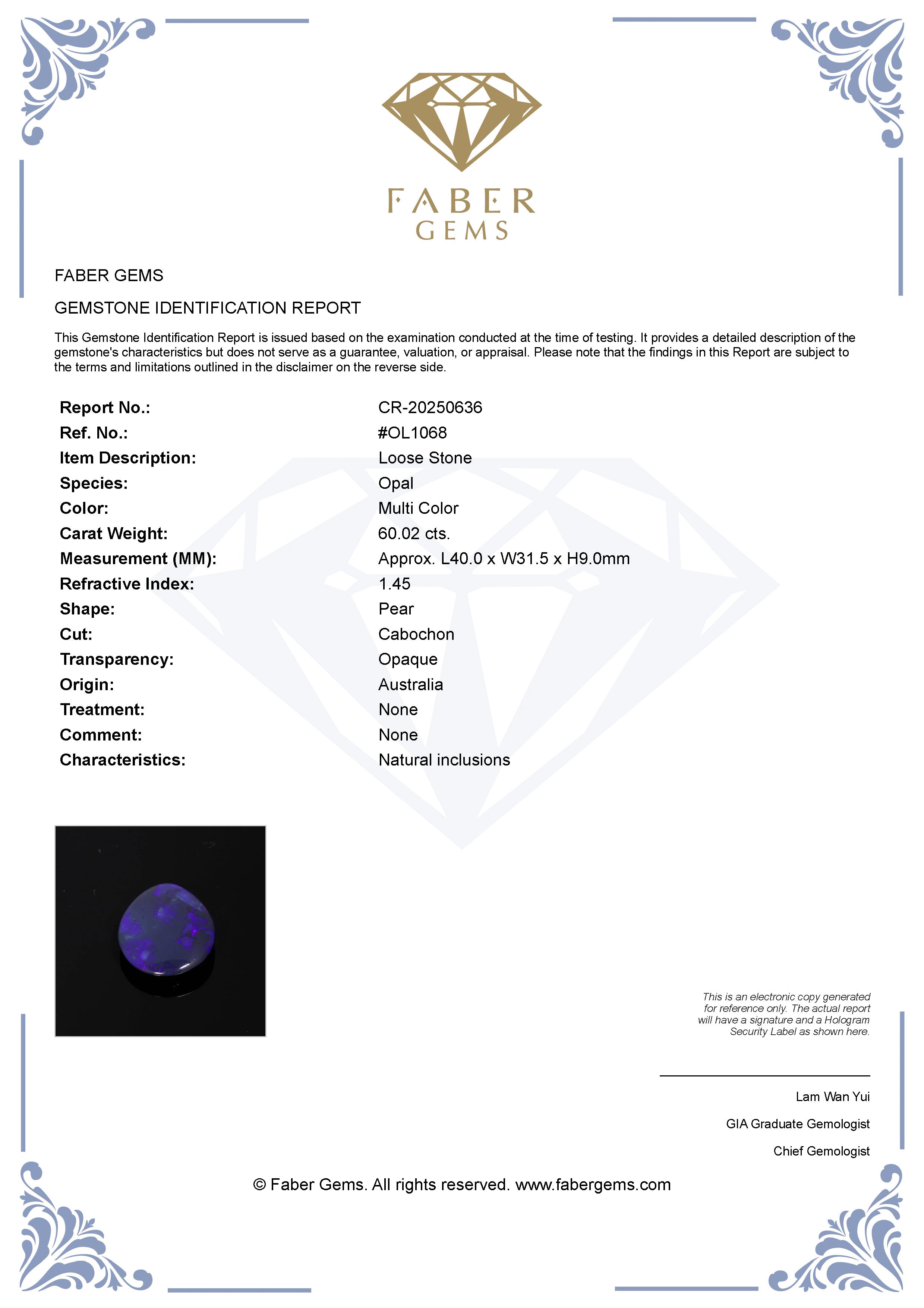 60.02 Ct. Australian Legacy Opal #OL1068