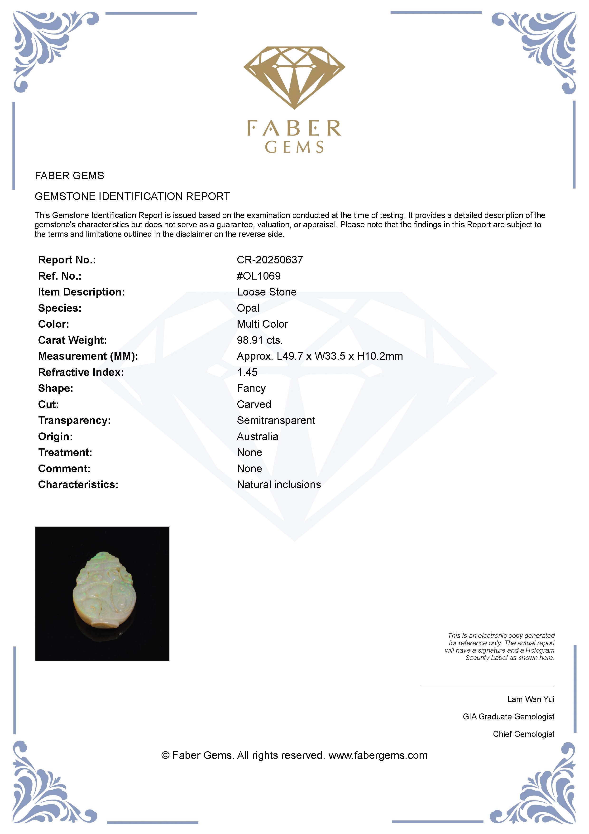 98.91 Ct. Australian Legacy Opal #OL1069