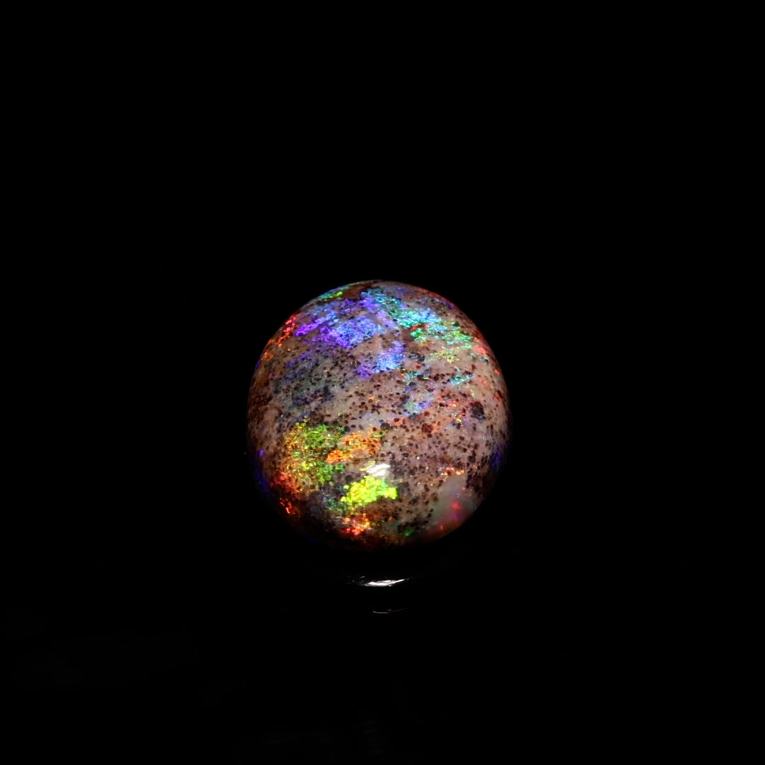 8.2 Ct. Australian Legacy Opal #OL1076