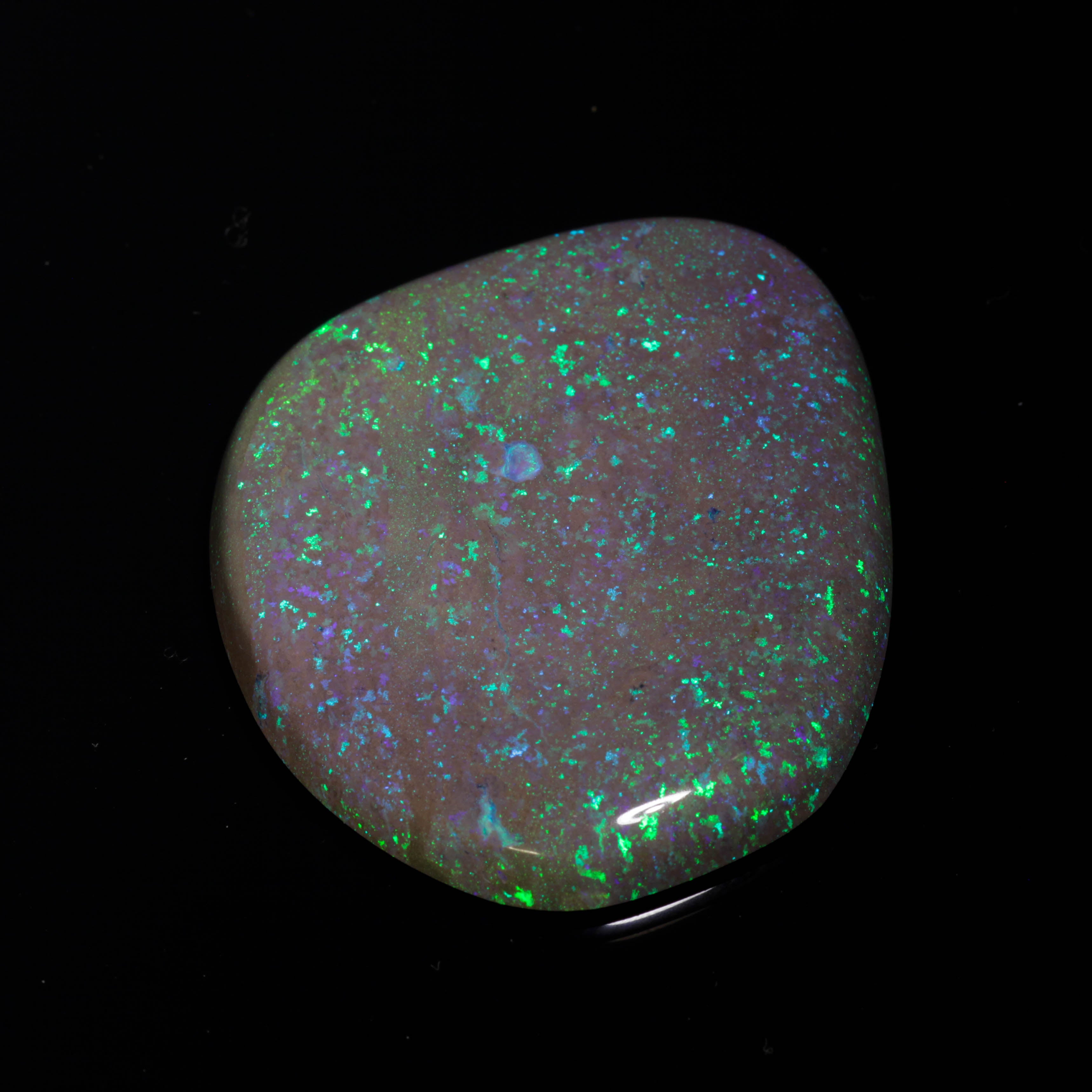 196.65 Ct. Australian Legacy Opal #OL1066