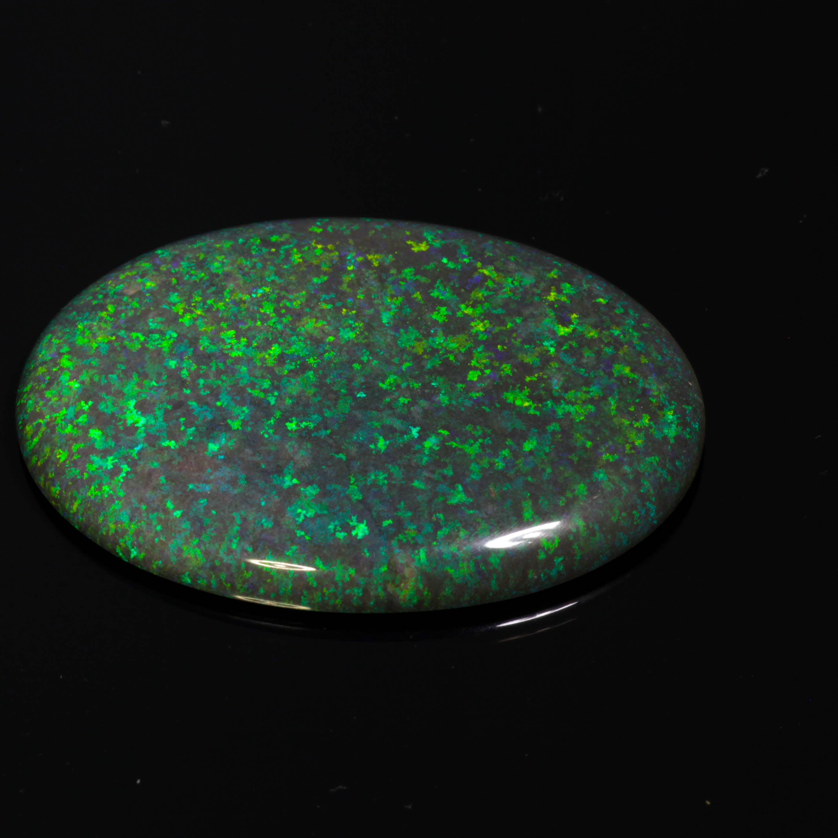 122.4 Ct. Australian Legacy Opal #OL1065